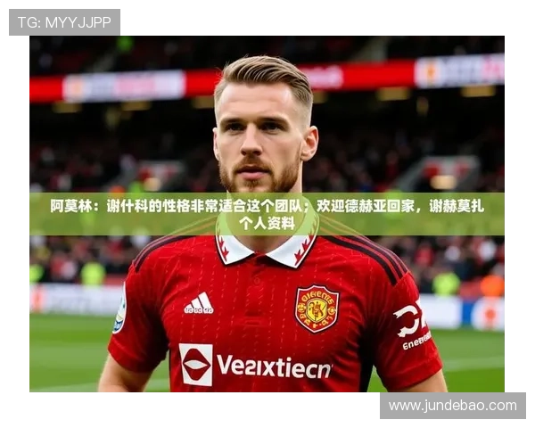 九游娱乐app不莱梅的赞助商合作案例分析及其对球队品牌提升的具体贡献